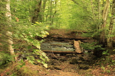 Enlarge photo 248