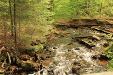 Enlarge photo 249