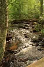 Enlarge photo 250