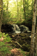 Enlarge photo 252