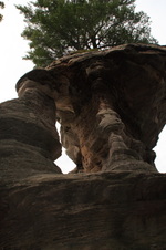 Enlarge photo 257