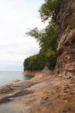 Enlarge photo 259