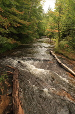 Enlarge photo 264