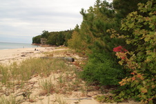 Enlarge photo 279