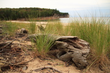 Enlarge photo 282