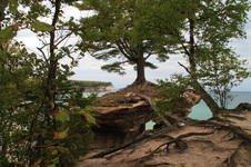 Enlarge photo 292