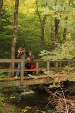 Enlarge photo 293