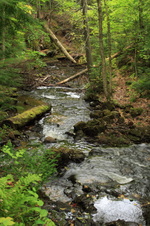 Enlarge photo 297