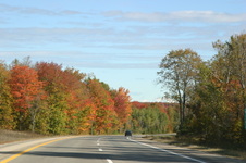 U.P w Cheryl