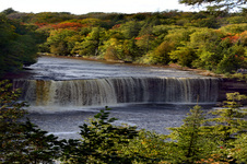 Enlarge photo 40
