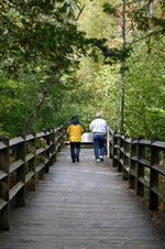 Enlarge photo 45