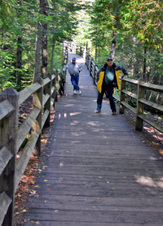 Enlarge photo 44