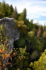 Enlarge photo 22