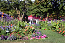 Enlarge photo 36