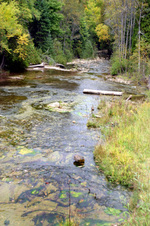 Enlarge photo 87