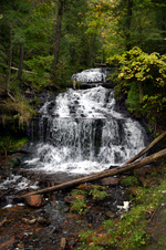 Enlarge photo 95