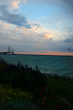 Enlarge photo 133