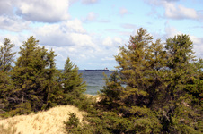 Enlarge photo 64