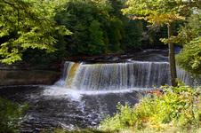 Enlarge photo 42