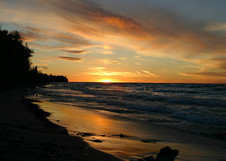 Enlarge photo 82