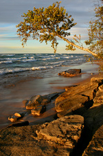 Enlarge photo 73