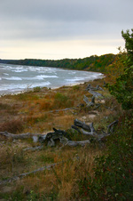 Enlarge photo 3