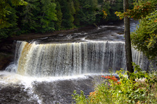Enlarge photo 41