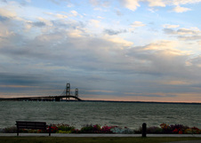 Enlarge photo 131