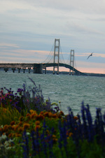 Enlarge photo 132