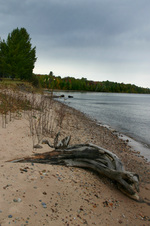 Enlarge photo 91