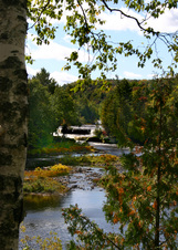 Enlarge photo 46