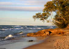 Enlarge photo 72