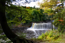 Enlarge photo 51