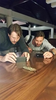 NINTENDO 3