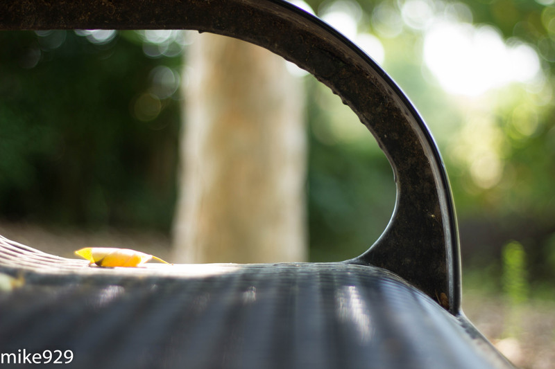 IMAGE: http://photos.imageevent.com/mike929/canon60d/large/park%20chair%20bokeh%20_1%20of%201_.jpg