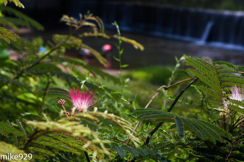 IMAGE: http://photos.imageevent.com/mike929/helenaal/large/IMG_1783.jpg