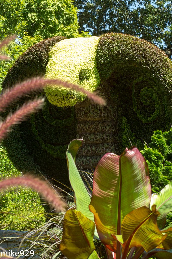 IMAGE: http://photos.imageevent.com/mike929/heliosshots/huge/Helios%2085mm%20and%20Piedmont%20167.jpg