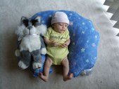 Enlarge photo 2