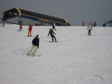 Enlarge photo 43