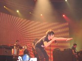 Enlarge photo 59
