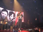 Enlarge photo 62