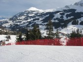 Enlarge photo 38