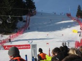 Enlarge photo 113