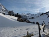 Enlarge photo 132