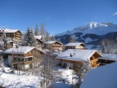 Enlarge photo 151