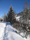 Enlarge photo 152