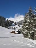 Enlarge photo 153