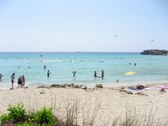 Enlarge photo 54
