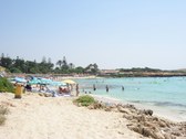 Enlarge photo 52