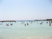 Enlarge photo 53